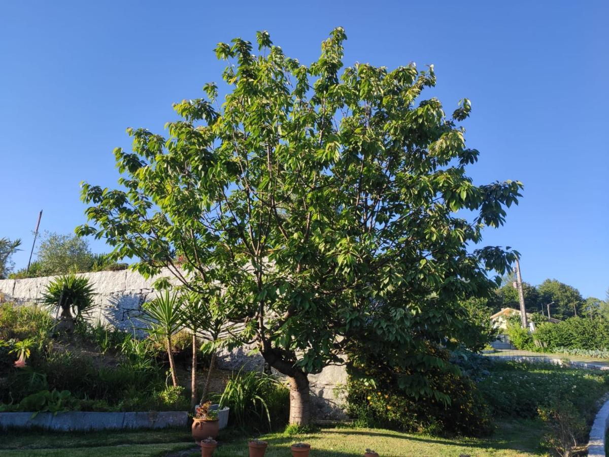 Propriedade Do Pires Guimarães Zewnętrze zdjęcie